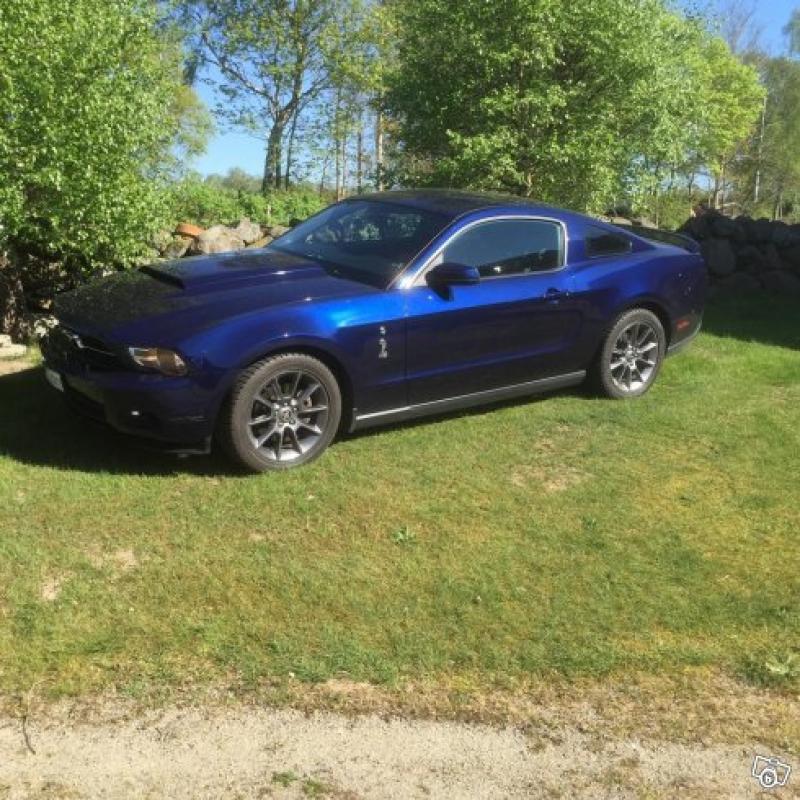 Mustang -11