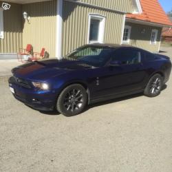 Mustang -11